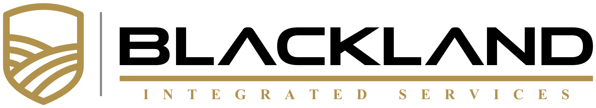Blackland Integrated Services